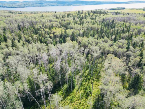 Dl 941 Shaeffer Lake, Burns Lake, BC 