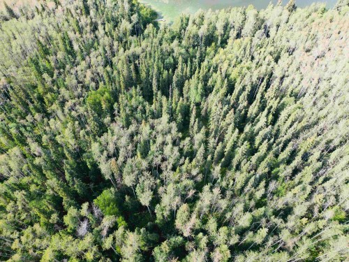 Dl 941 Shaeffer Lake, Burns Lake, BC 