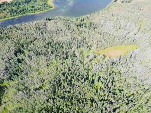 Dl 941 Shaeffer Lake, Burns Lake, BC 