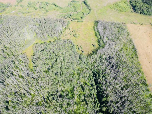 Dl 941 Shaeffer Lake, Burns Lake, BC 