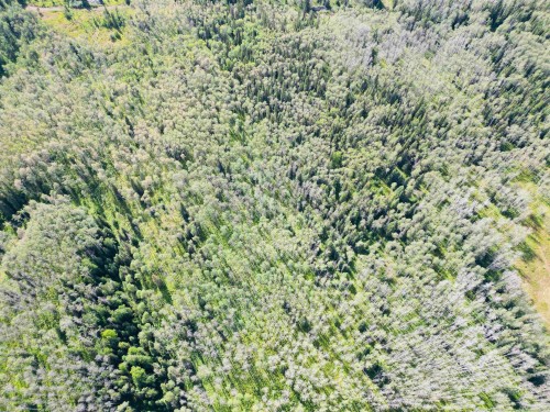 Dl 941 Shaeffer Lake, Burns Lake, BC 