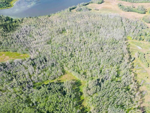 Dl 941 Shaeffer Lake, Burns Lake, BC 