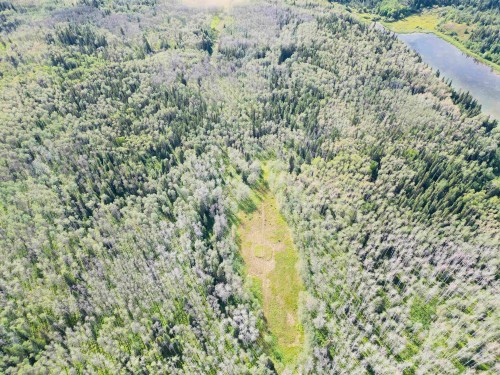 Dl 941 Shaeffer Lake, Burns Lake, BC 