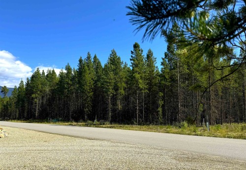 1285 Fowler Place, Valemount, BC 