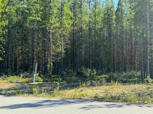 1285 Fowler Place, Valemount, BC 