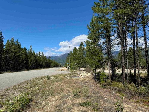1295 Fowler Place, Valemount, BC 