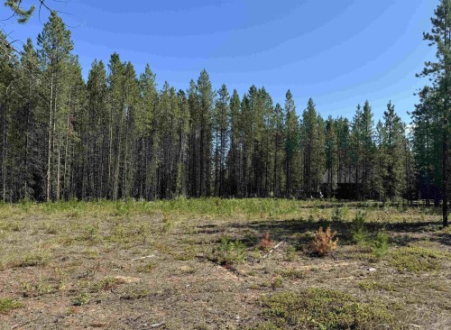 1295 Fowler Place, Valemount, BC 