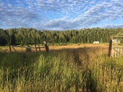 12969 Dome Creek Road  Dome Creek, BC V0J 1H0