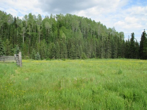 12969 Dome Creek Road, Dome Creek, BC 