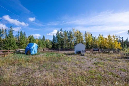 54175 Sutton Road, Vanderhoof, BC 