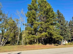 1366 7th Avenue  Valemount, BC V0E 2Z0