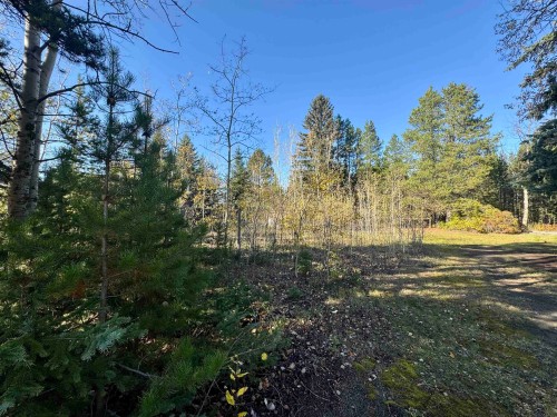 1366 7Th Avenue, Valemount, BC 