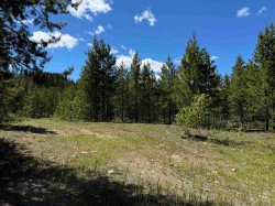 LOT-4 Pitney Road  Valemount, BC V0E 2Z0