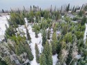 45381 Bryanston Drive, Burns Lake, BC 