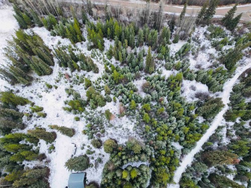 45381 Bryanston Drive, Burns Lake, BC 