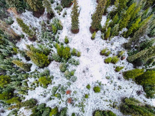 45381 Bryanston Drive, Burns Lake, BC 