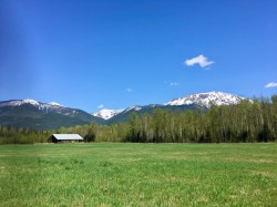 41000 Gray Road  Prince George, BC V0J 2B0