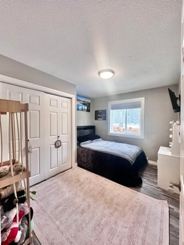 2725 Tamarack Road, Valemount, BC 