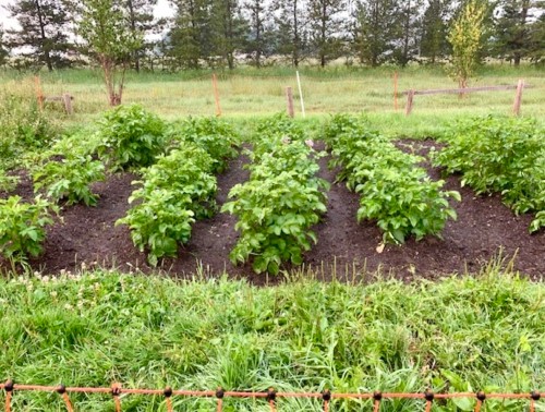 13230 West Beaverley Road, Prince George, BC 