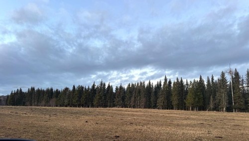 22578 Savory Road, Endako, BC 