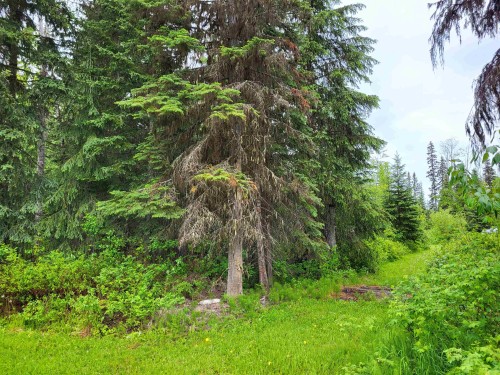 17530 Perry Road E, Shelley, BC 