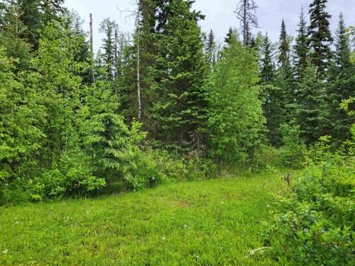 17530 Perry Road E, Shelley, BC 