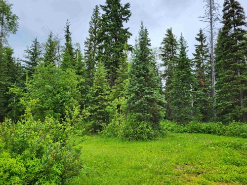 17530 Perry Road E, Shelley, BC 