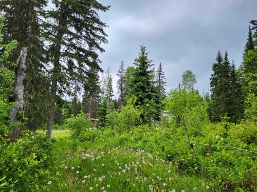 17530 Perry Road E, Shelley, BC 