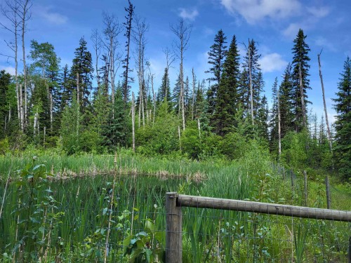 17530 Perry Road E, Shelley, BC 