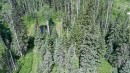 17530 Perry Road E, Shelley, BC 