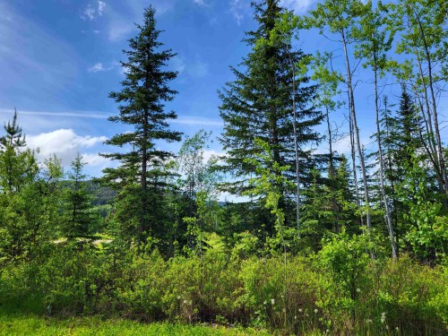 17530 Perry Road E, Shelley, BC 