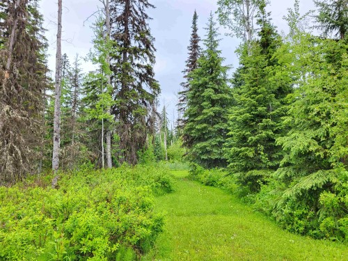 17530 Perry Road E, Shelley, BC 