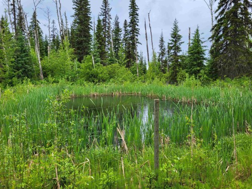 17530 Perry Road E, Shelley, BC 