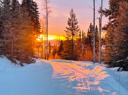 45455 Byranston Drive  Burns Lake, BC V1J 3A1