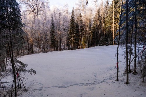 Lot-24 Beger Road, Prince George, BC 