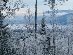 LOT A Bald Hill Road  Burns Lake, BC V0J 1E0