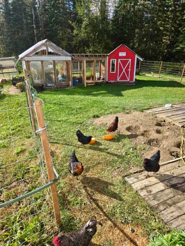 9495 Clover Road, Prince George, BC 