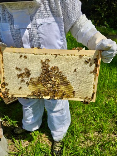 9495 Clover Road, Prince George, BC 