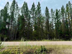 LOT-8 Pine Road  Valemount, BC V0Z 2Z0