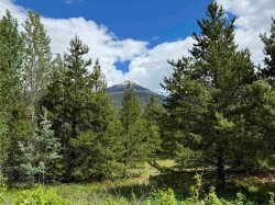 LOT-2 Starview Road  Valemount, BC V0E 2Z0