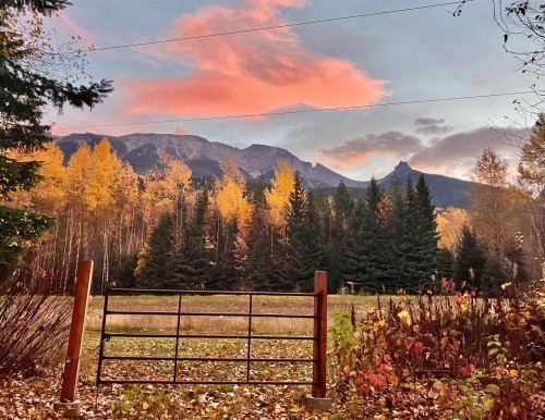18405 5 Highway S, Valemount, BC 