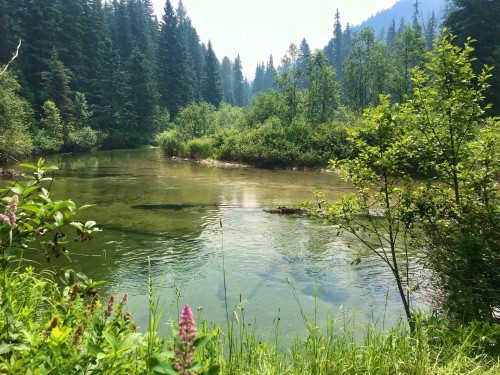 18405 5 Highway S, Valemount, BC 