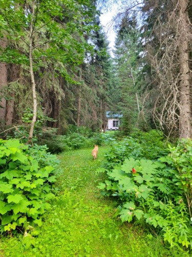 18405 5 Highway S, Valemount, BC 