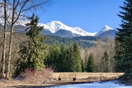 18405 5 Highway S, Valemount, BC 