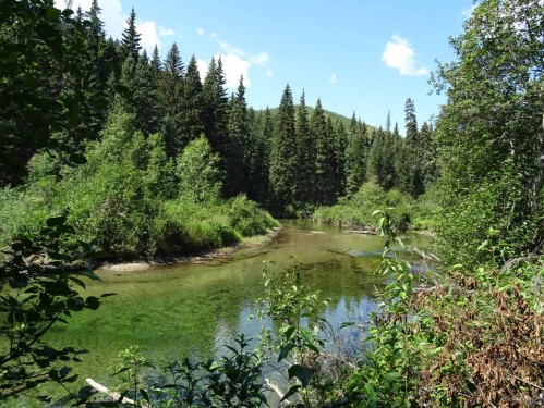 18405 5 Highway S, Valemount, BC 
