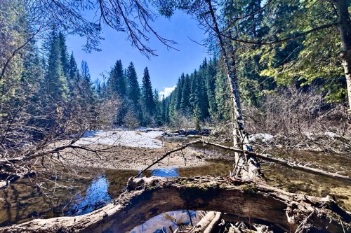 18405 5 Highway S, Valemount, BC 