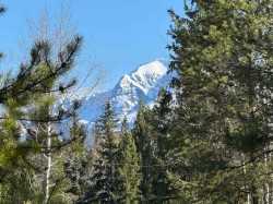 225 13th Avenue Valemount, BC V0E 2Z0