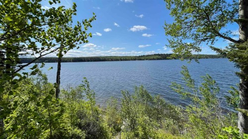 49805 Tapping Road, Cluculz Lake, BC 