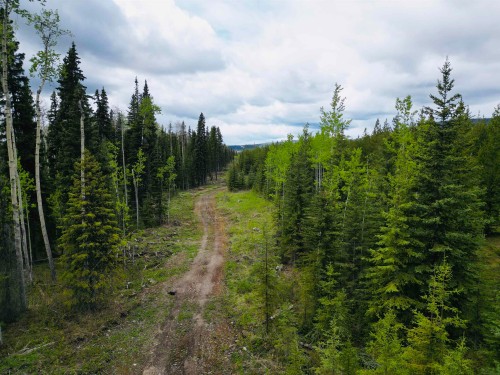 5698 Barteaux Road, Burns Lake, BC 