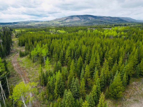 5698 Barteaux Road, Burns Lake, BC 